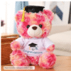 Graduation Teddy Bear Gift – Plush Toy with Doctoral Tam, Gold Tassel & Diploma for Boys, Girls, Men & Women