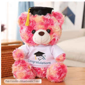 Graduation Teddy Bear Gift – Plush Toy with Doctoral Tam, Gold Tassel & Diploma for Boys, Girls, Men & Women