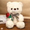 Evlooe 9.8" Teddy Bear Plush Gift – Stuffed Animal with Rose for Valentine’s Day, Women’s Day & Mother’s Day