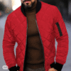 Men's Quilted Winter Jacket – Standing Collar, Warm Outdoor Streetwear, Lightweight Transitional Coat