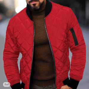 Men's Quilted Winter Jacket – Standing Collar, Warm Outdoor Streetwear, Lightweight Transitional Coat