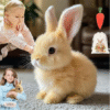 Interactive Bunny Toy – Plush Stuffed Pet with Hopping, Walking, and Ear-Wiggling Features